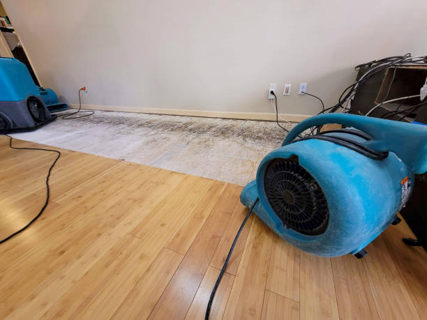 Professional Water Extraction technician working in Hamilton, IL